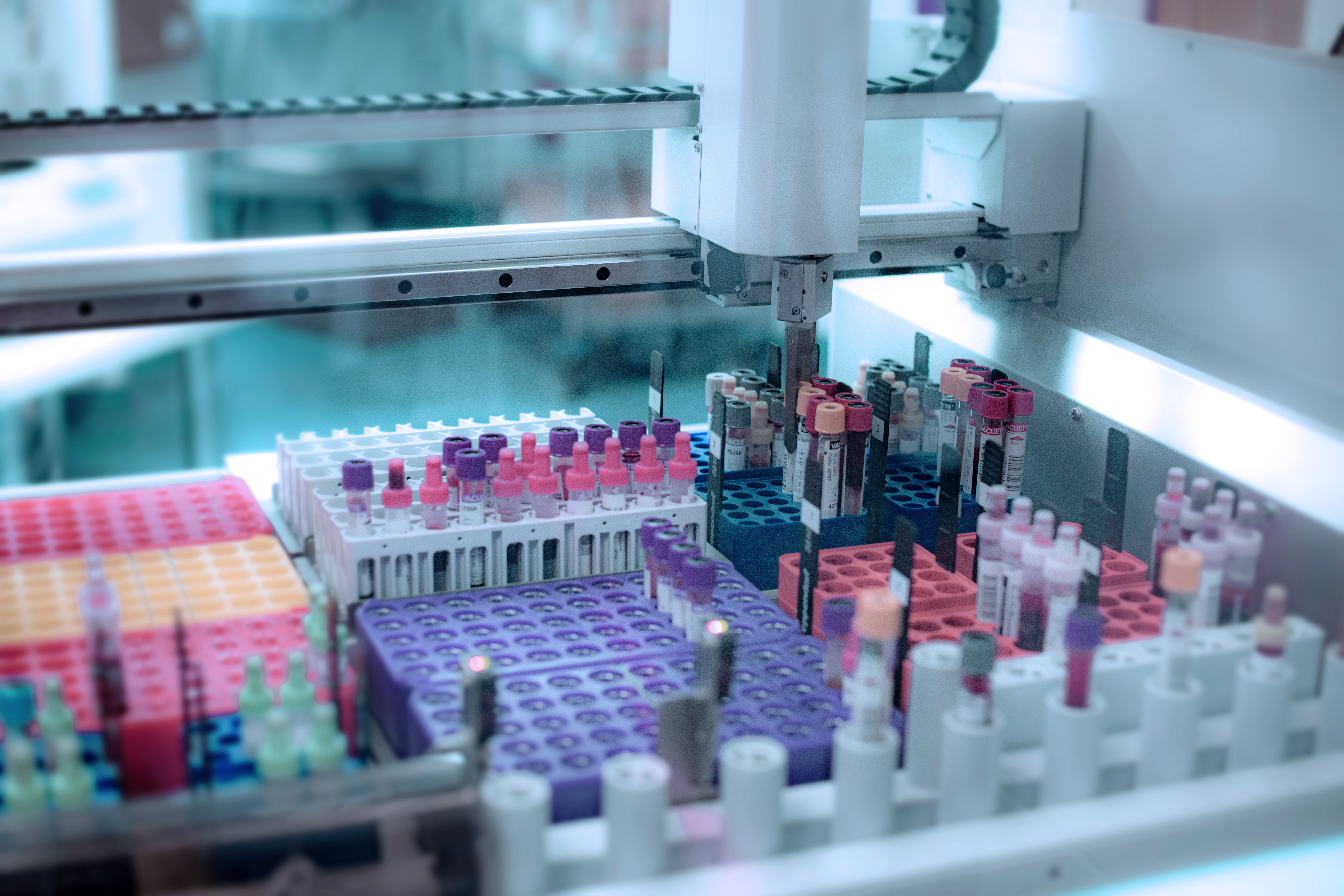 Präanalytik bei der Blutentnahme für aussagekräftige labormedizinische Befunde